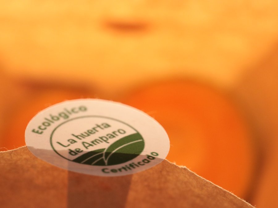 huertadeamparo's tweet photo. Hoy enviamos nuestra crema de Calabaza eco y jengibre ... 🚛🛴🚲 pronto en las casas con #ecoencasa https://t.co/n0mrdy4O6P https://t.co/f5wDY6O6ZA