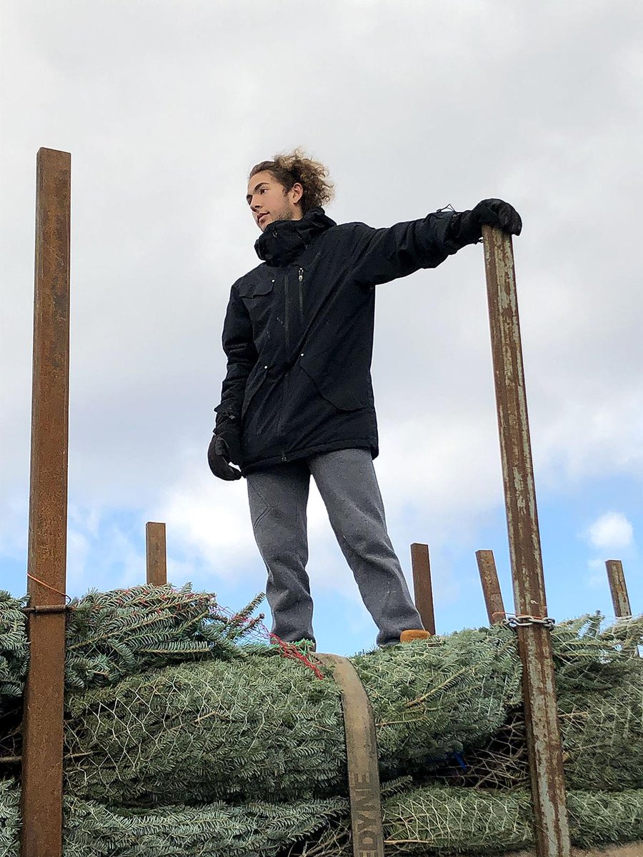 CHRISTMAS TREE TIME —  primepublishers.com/towntimesnews/…