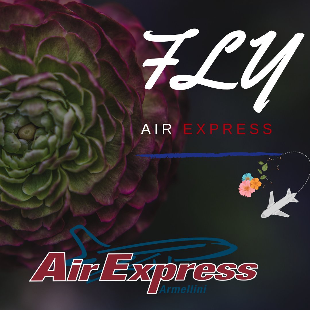ArmelliniAirExp's tweet photo. Become part of the Armellini Air Family, Fly Airexpress
.
.
.
.
.
.
.
#ArmelliniAirExpress #Roses #Miami #FreshCutFlowers #FlyYourFlowers https://t.co/ehHWs33g6A
