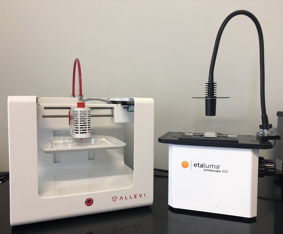 A big thanks to Taciana Pereira at Allevi for sending this picture of our Lumascope with their bioprinter.  A powerful combination for regenerative research.