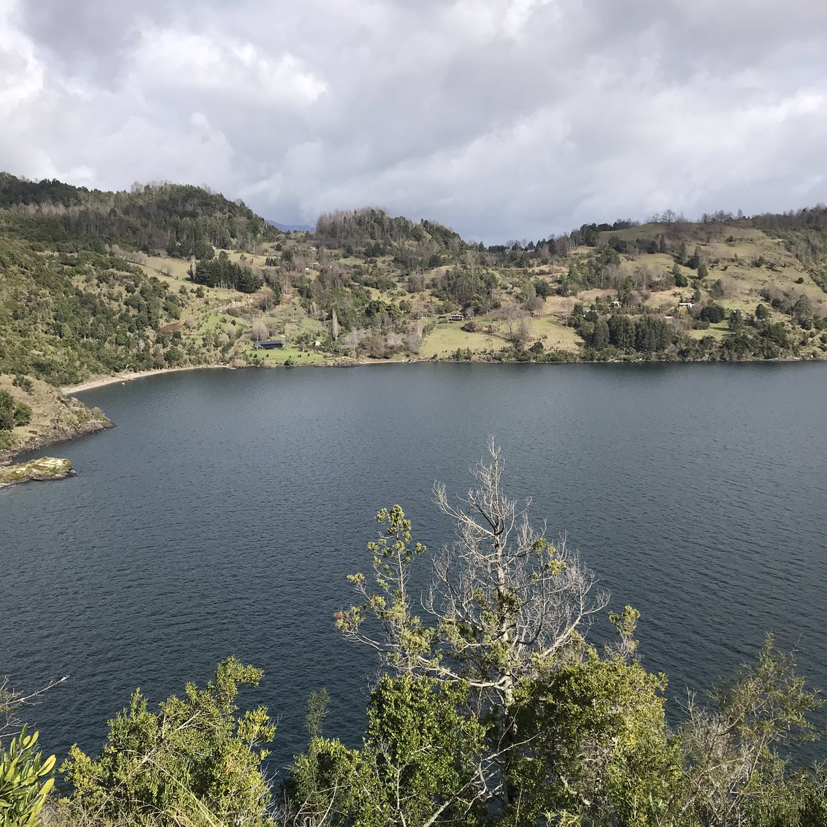 _cantodelchucao's tweet photo. Maravillate con las vistas desde los miradores habilitados por el @_cantodelchucao... camping, recreación, lago, kayak, paseos en bote y muchas sorpresas más.#camping #descubrelosrios #cabaña #illahuapi #FelizJueves #sustentable #viajaporchile 🍃🌿 https://t.co/mDbD3eo0dY