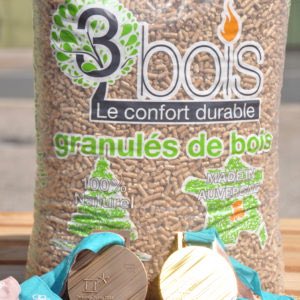 Thierry_MEGE's tweet photo. Ce soir à #bellerivesurallier pour la remise du coup de ❤️ RSE à #3bois la chaleur durable, producteur et distributeur de granulés bois, responsable et innovant , situé dans @allier client @EDF_Entreprises Merci @cci_allier @CPMEaura @CHAMALETEDF @ChMissirian https://t.co/WAWseLZdFn