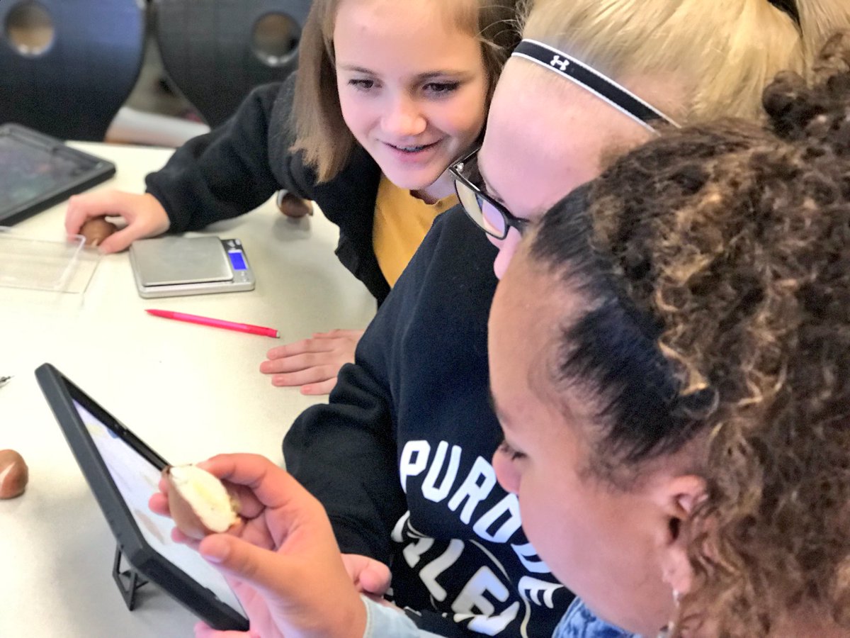 PatrickHazelton's tweet photo. 6th grade participated in a virtual lab to experiment with plant growth, determined the mass, measured the circumference, &amp; planted tulip bulbs. Now we will wait until spring to collect data as they begin to grow @journeynorthED @ClaypoolKnights #WCSmission #wcsSTEM https://t.co/iOa8a9fb8V