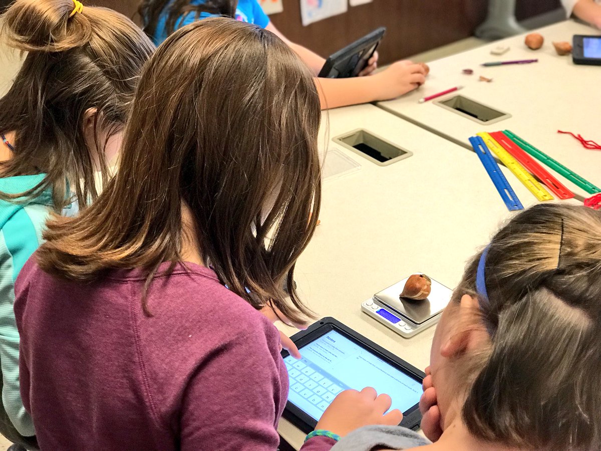 PatrickHazelton's tweet photo. 6th grade participated in a virtual lab to experiment with plant growth, determined the mass, measured the circumference, &amp; planted tulip bulbs. Now we will wait until spring to collect data as they begin to grow @journeynorthED @ClaypoolKnights #WCSmission #wcsSTEM https://t.co/iOa8a9fb8V