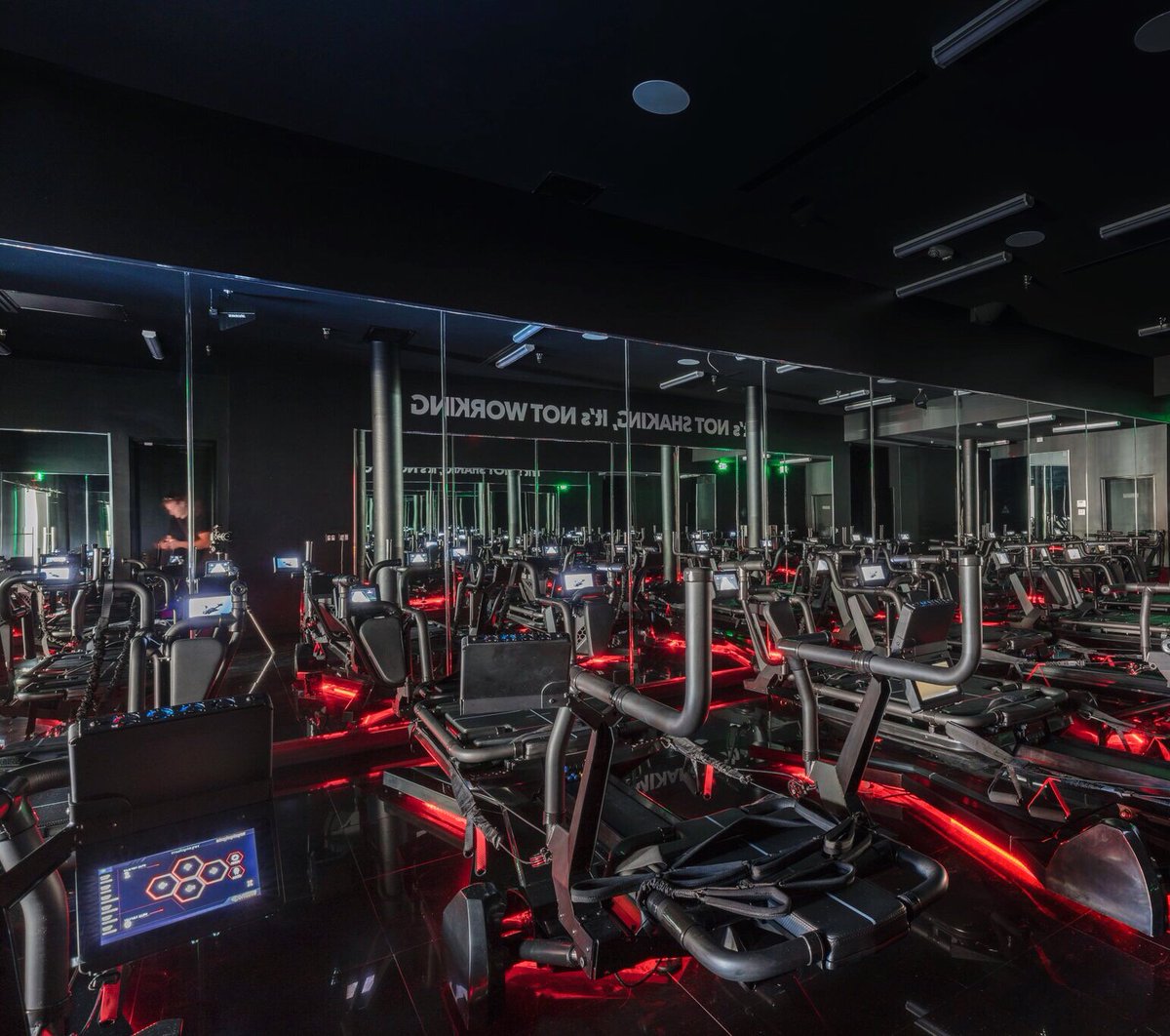 LagreeStudio's tweet image. #Westwood Supras lookin’ 🔥🔥 
Remember, if it’s not shaking, it’s not working!  #lagreefitness #embracetheshake