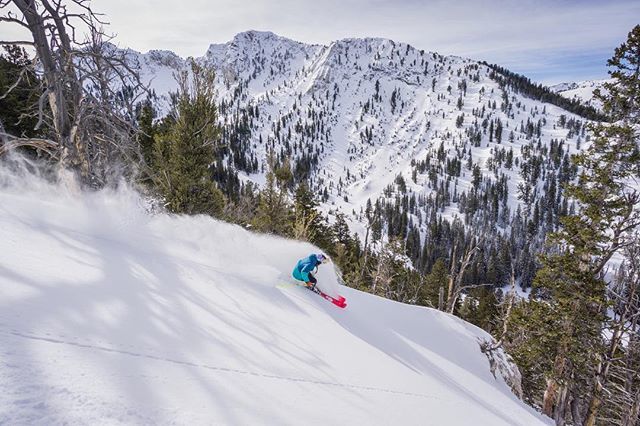 Solitude Mountain Resort tweet media
