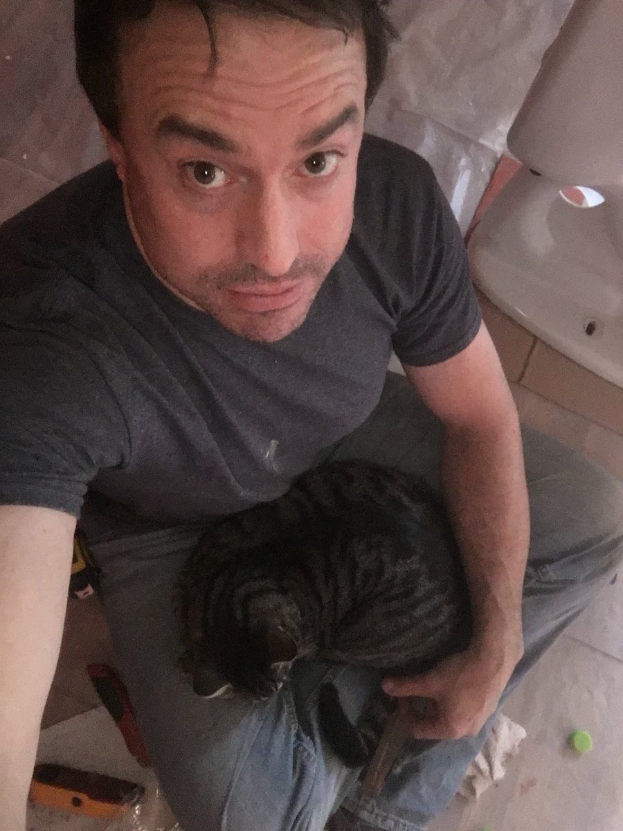 MostlyHarmless5's tweet image. Archer makes sure Stephen takes breaks from home remodeling #cat #CatsOfTwitter #catshelp