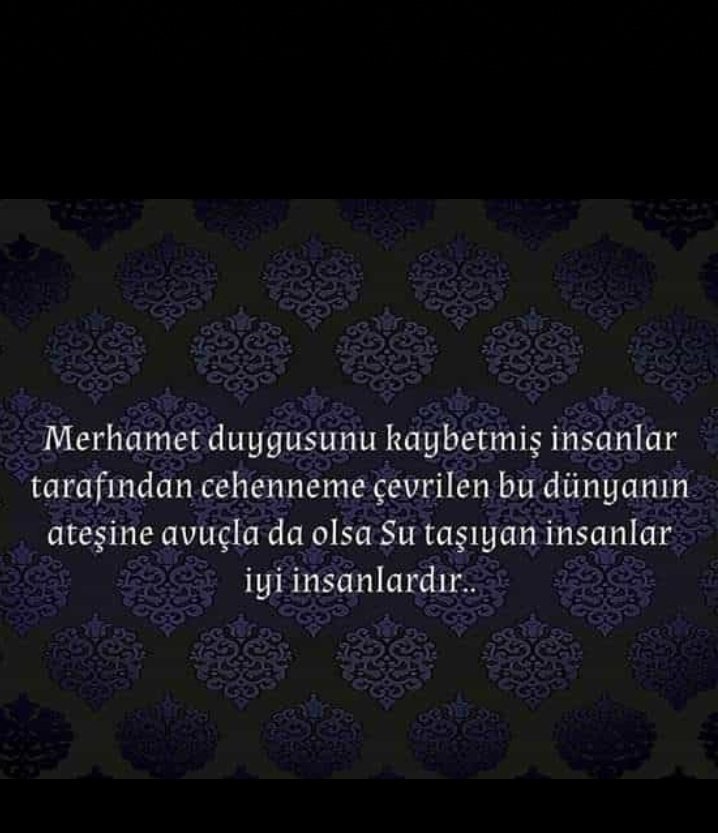 Gamze Türkmenoğulları (@gamze_turkmn) on Twitter photo 