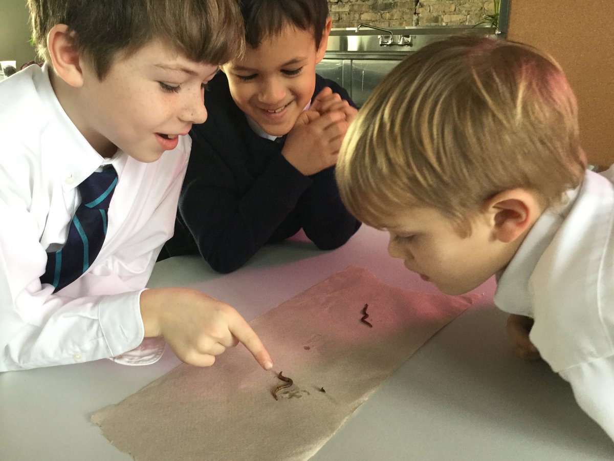 BISC-LP Year 3 tweet media