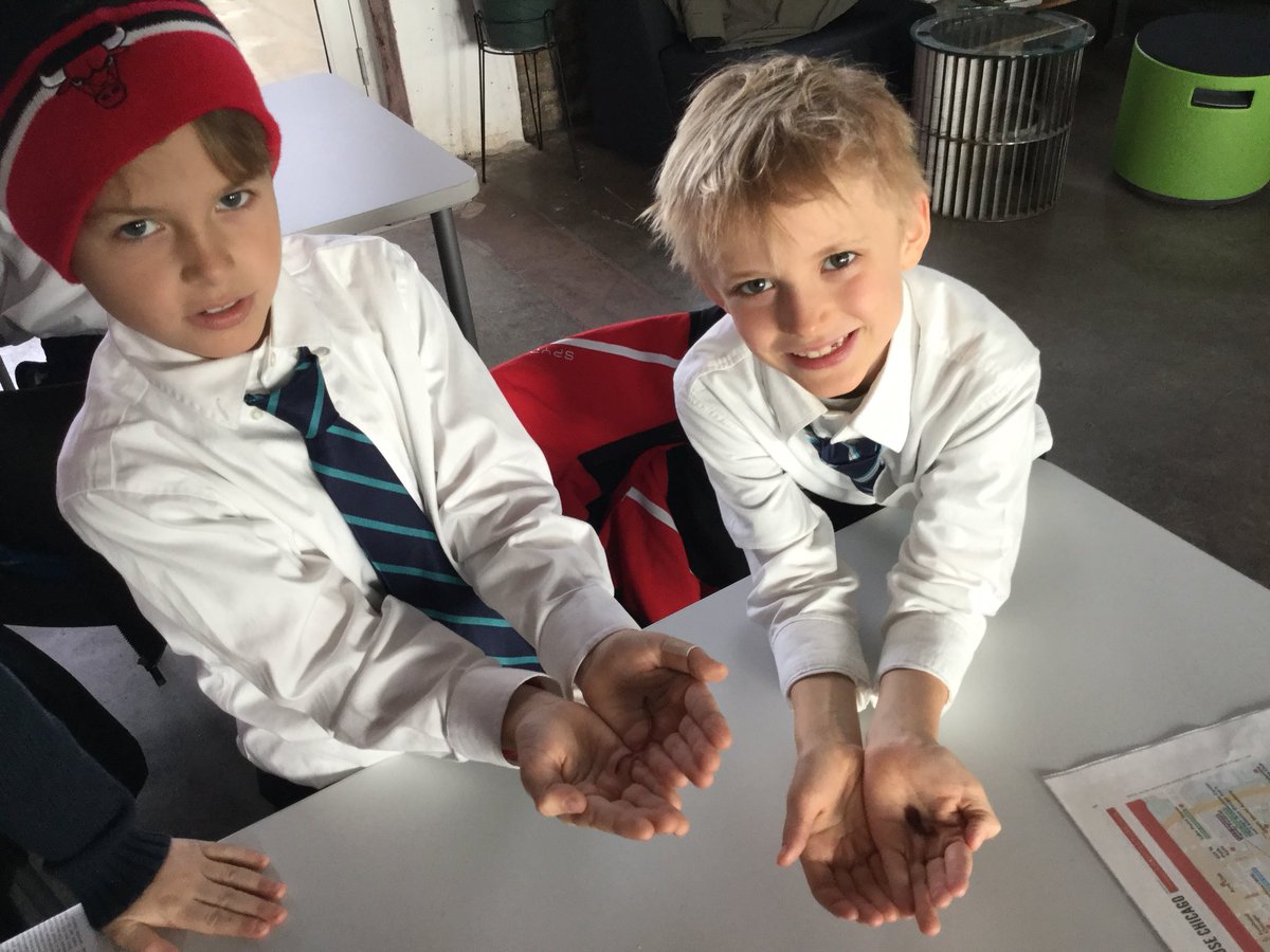 BISC-LP Year 3 tweet media