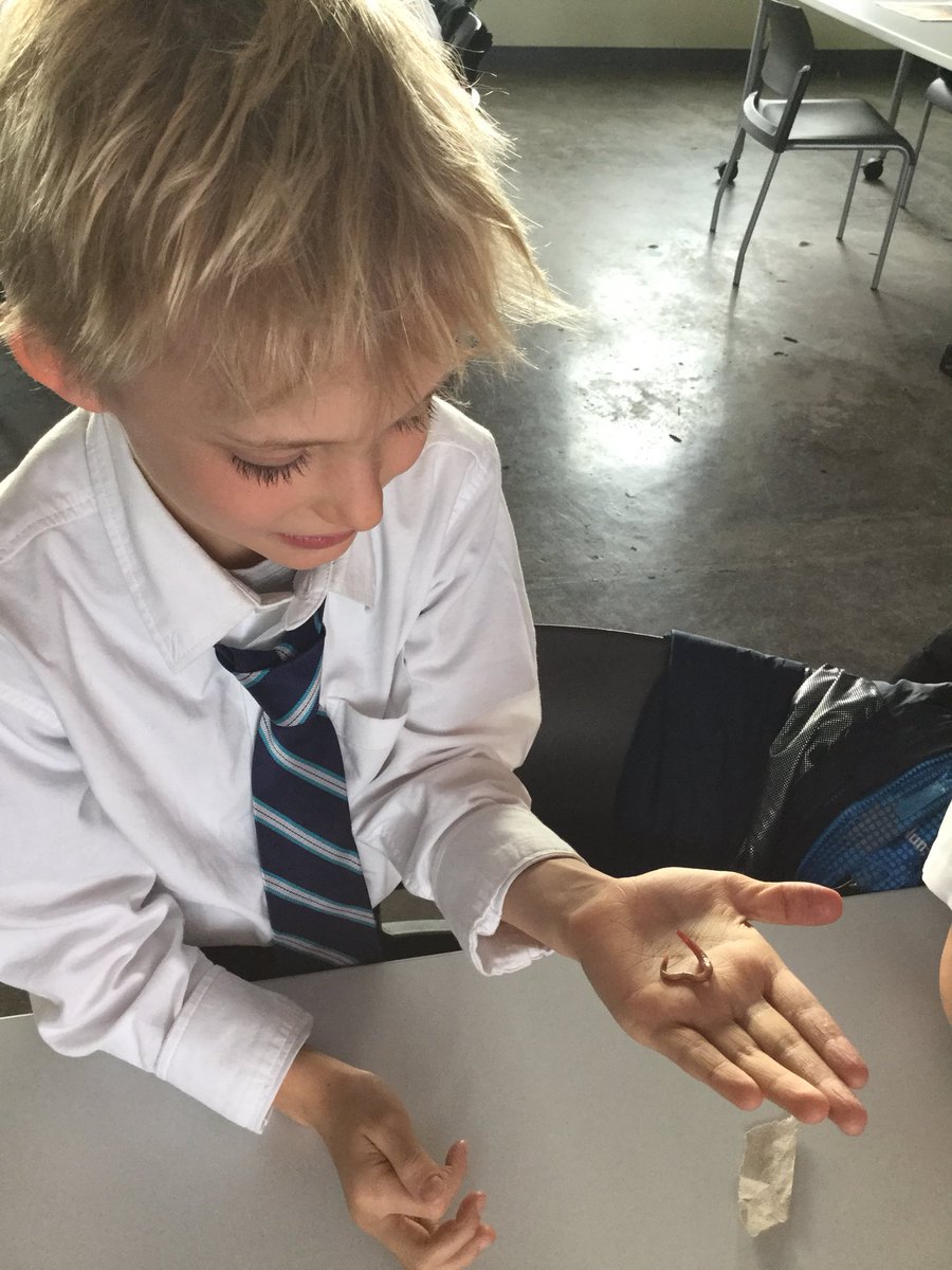 BISC-LP Year 3 tweet media