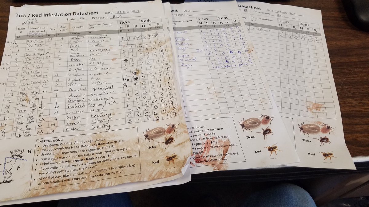 Field data sheets after spending two days combing dead, hunter-shot deer are...not pristine
#entomology #FieldBiology