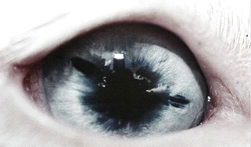 PrometheusApp's tweet image. o bsk jsfgwcb ct ob cfwuwboz, hc offwjs. dohwsbqs wg jwfhis tcf hvoh ct hvs hwas ct 360.