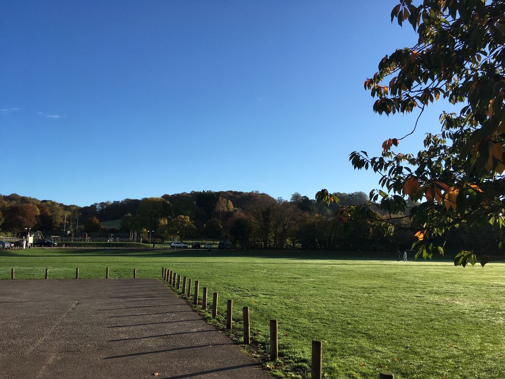 Small Steps in the Chilterns tweet media