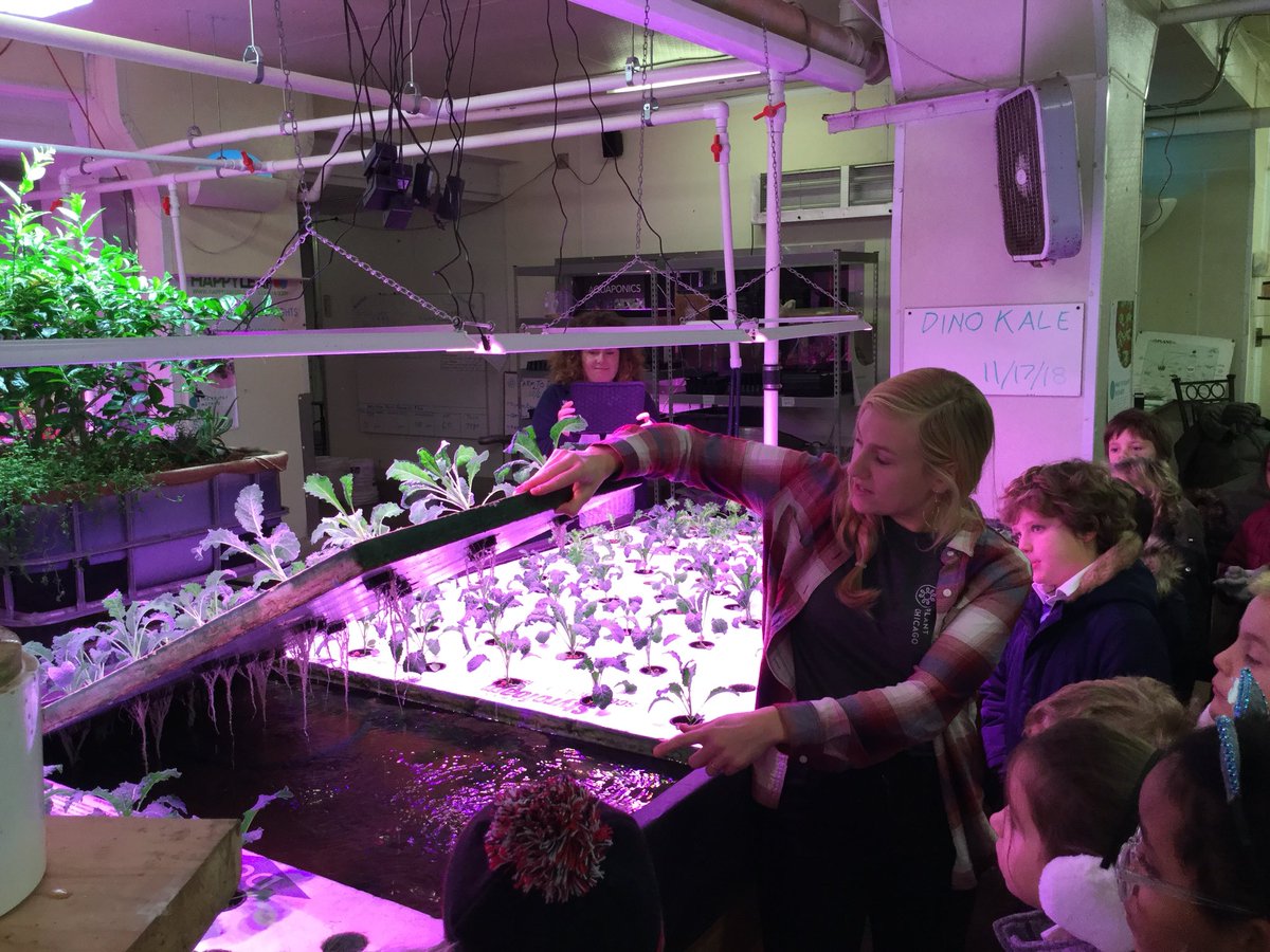 BISC-LP Year 3 tweet media