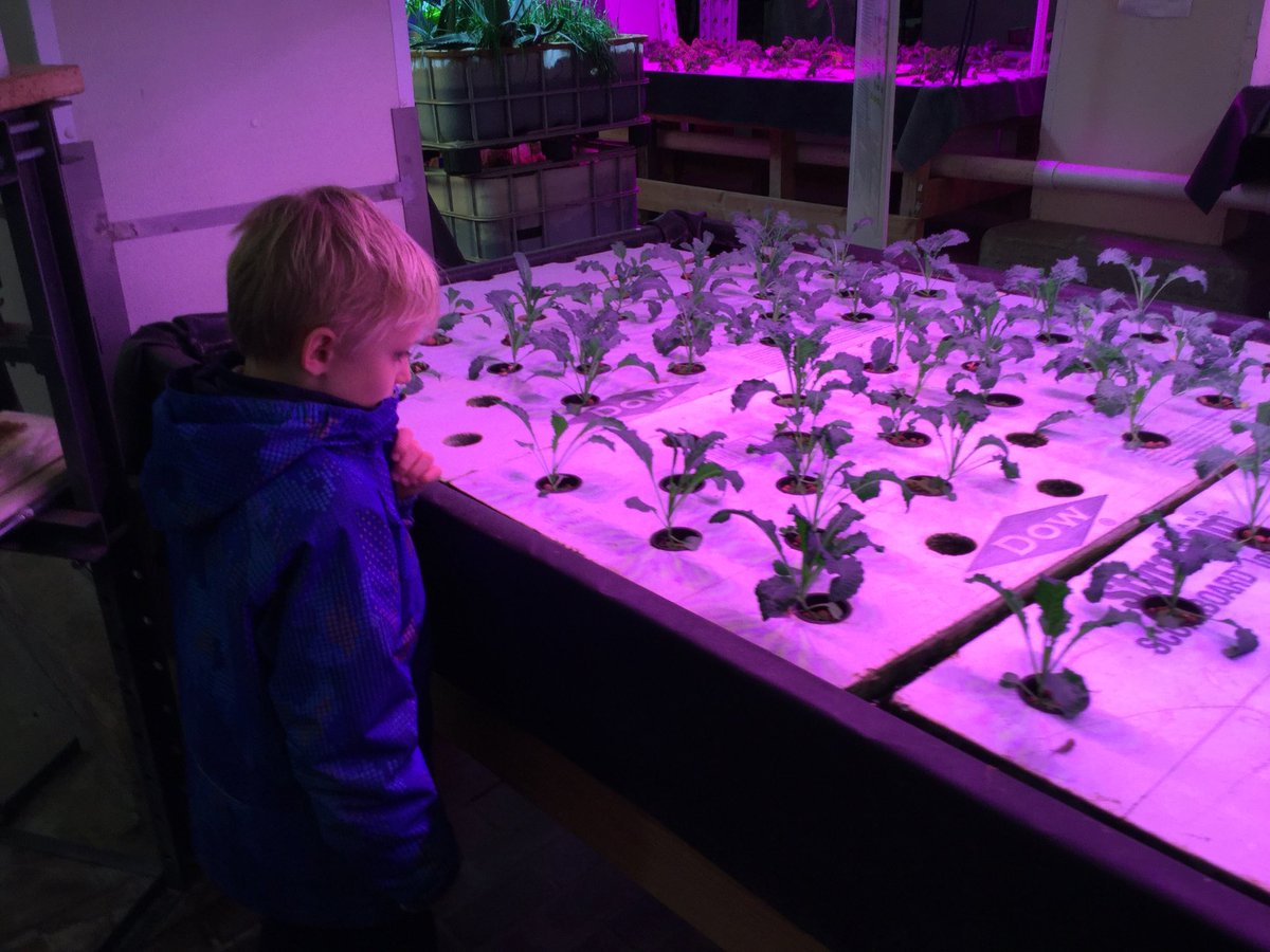 BISC-LP Year 3 tweet media