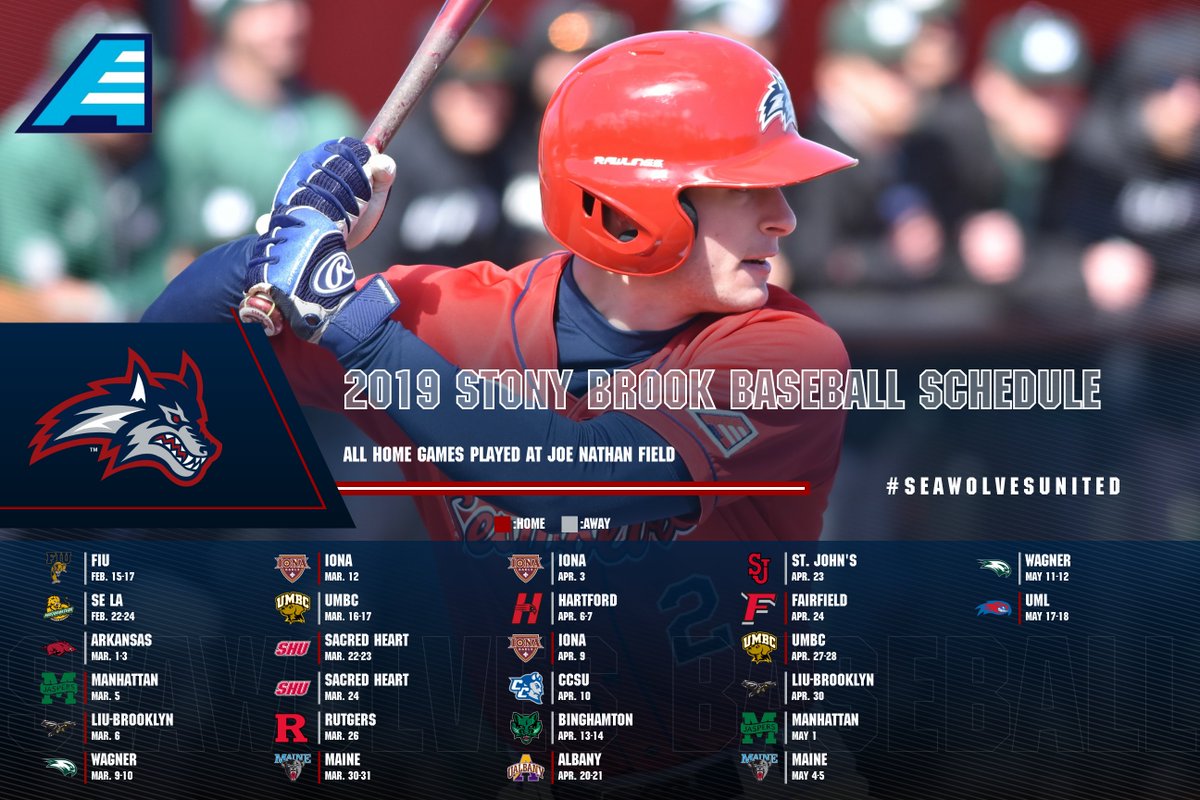 "You can only accomplish great things by being willing to take on great challenges." - Coach Senk.

HERE IT IS! Great challenges await with our 2019 schedule. Check out the when and where of our season that starts February 15.

#SeawolvesUnited | #AEHoops