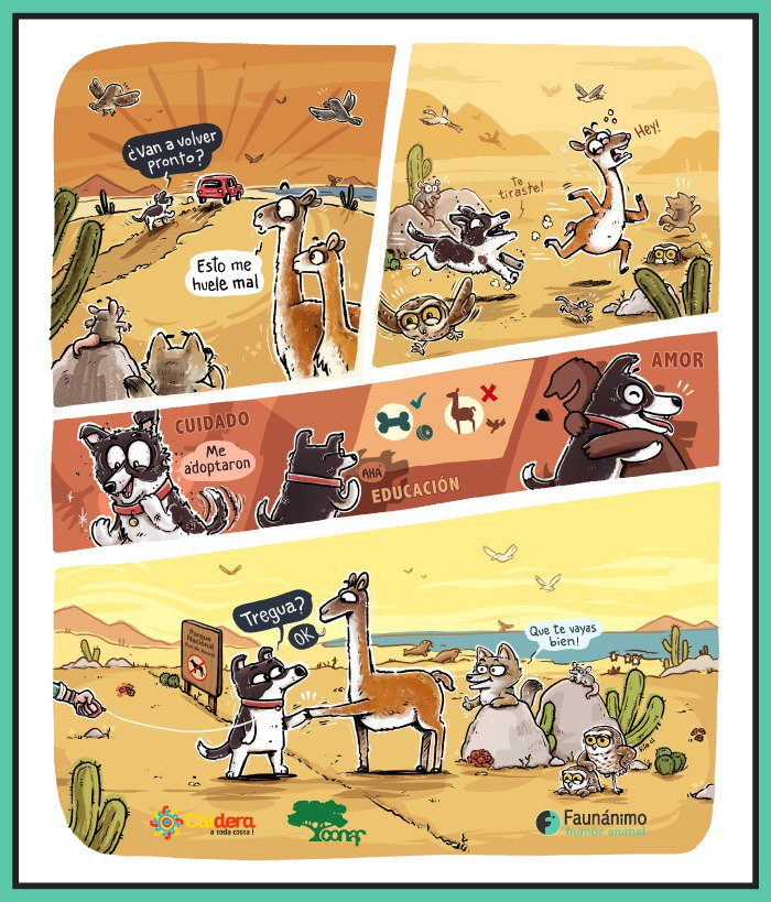 La tenencia responsable de mascotas no solo es una necesidad en la ciudad ¡es una acción vital para la conservación de nuestra biodiversidad! <a href="/faunanimo/">Faunanimo</a> nos lo recuerda.