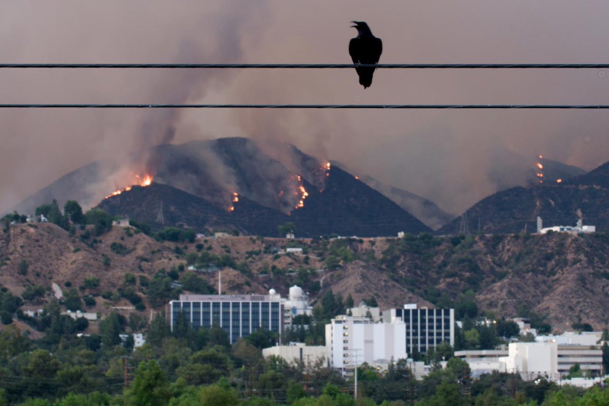 LannerAmerica's tweet photo. #IoT Enabling Cities Build Smart Hazard Mitigation Systems
https://t.co/mMAHxVBDux
#SmartCity #SmartCities #HazardMitigation #WildfirePotential #DisasterManagement #preparedness #InternetOfThings #SmartCityIoT #NaturalDisasterMitigation #CAFire #CALFIRE https://t.co/EGICmYeVpq