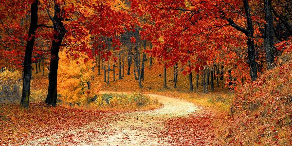 25 Reasons Fall Is The Best Season ow.ly/JAfG30m1DXq #boomers #babyboomers #FallSeason