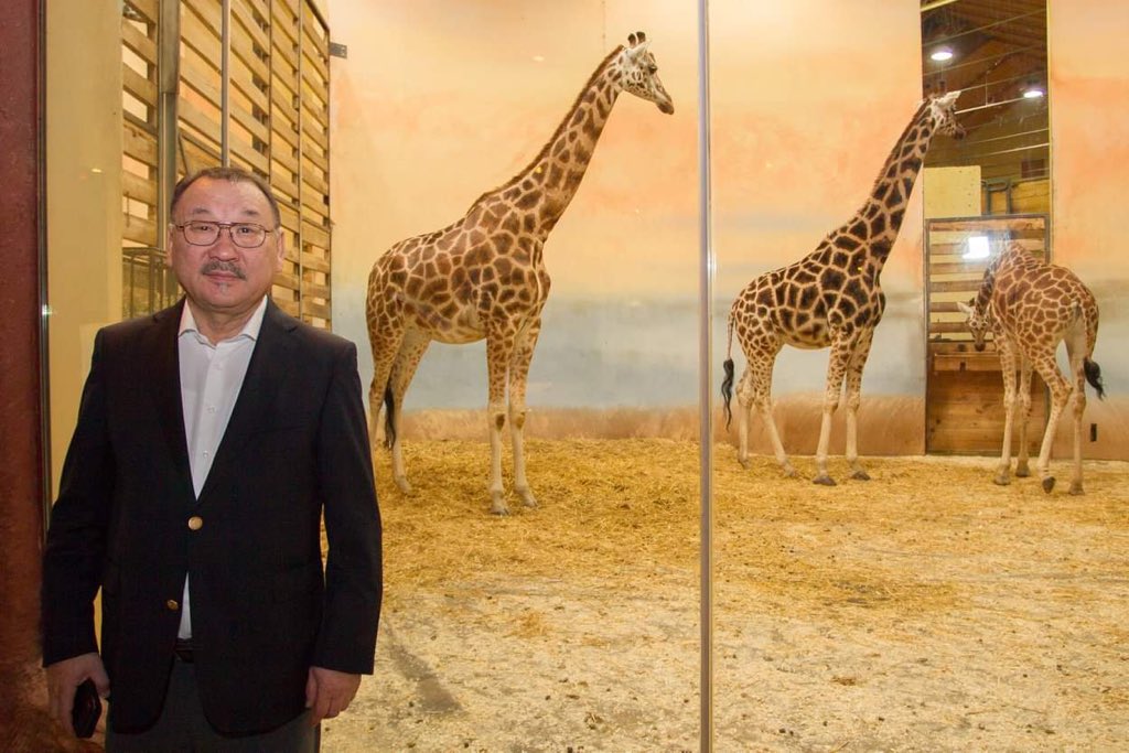 jiribr's tweet photo. Expert delegation from #Mongolia led by State Secretary Tsengel from the Ministry of Environment is visiting @zoo_praha. Topics: #takhi #wildcamel #saiga https://t.co/P8qA2f0lpI