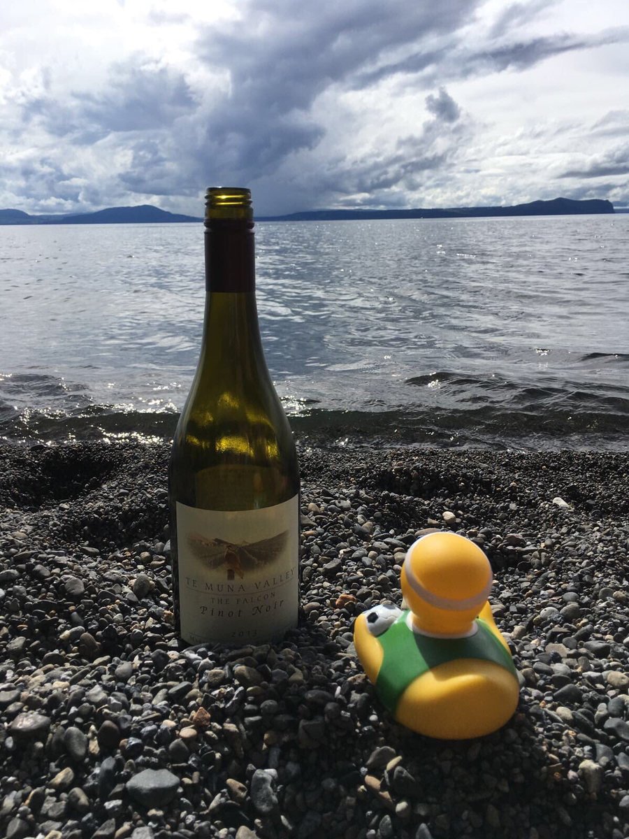WandererDuckies's tweet photo. throwback or upcoming? 
🐣🇳🇿🐣

new concept this time ✌️ #vanlife

#tbt #NZ #newzealand #travel #wanderlust #travelblog #backpacking #lake #wine #redwine @newzealand @madcampers1 #van https://t.co/4NDKRP4QGD