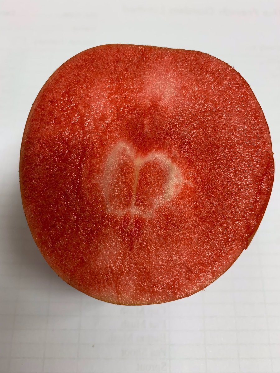 FrenchGardenUK's tweet photo. How bewitching are these Red Flesh #Apples known as #Love Apples? Amazing zingy flavour too! #fruit #uniqueproduce #market #newcoventgardenmarket #fgl https://t.co/fA8D4AU6wg
