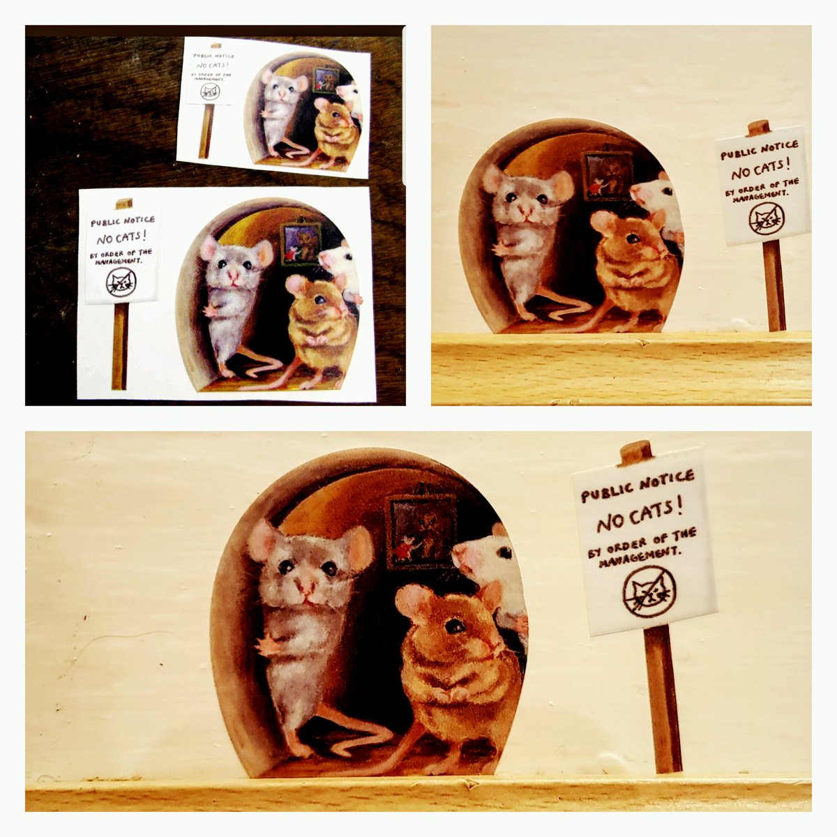 Normdabear tweet media