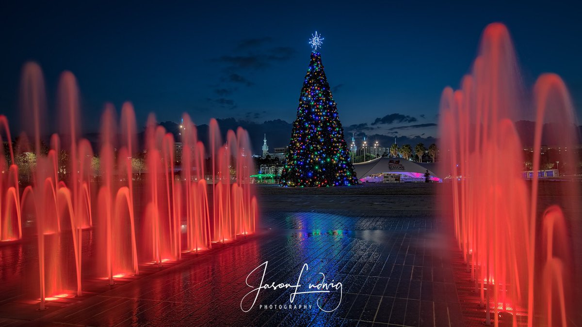 FreewayPhoto's tweet image. Tampa's Tree Lighting Ceremony is this Friday! @curtishixonpark @CityofTampa @Tampasdowntown @tampariverwalk @PaulFox13 @mcclureWX