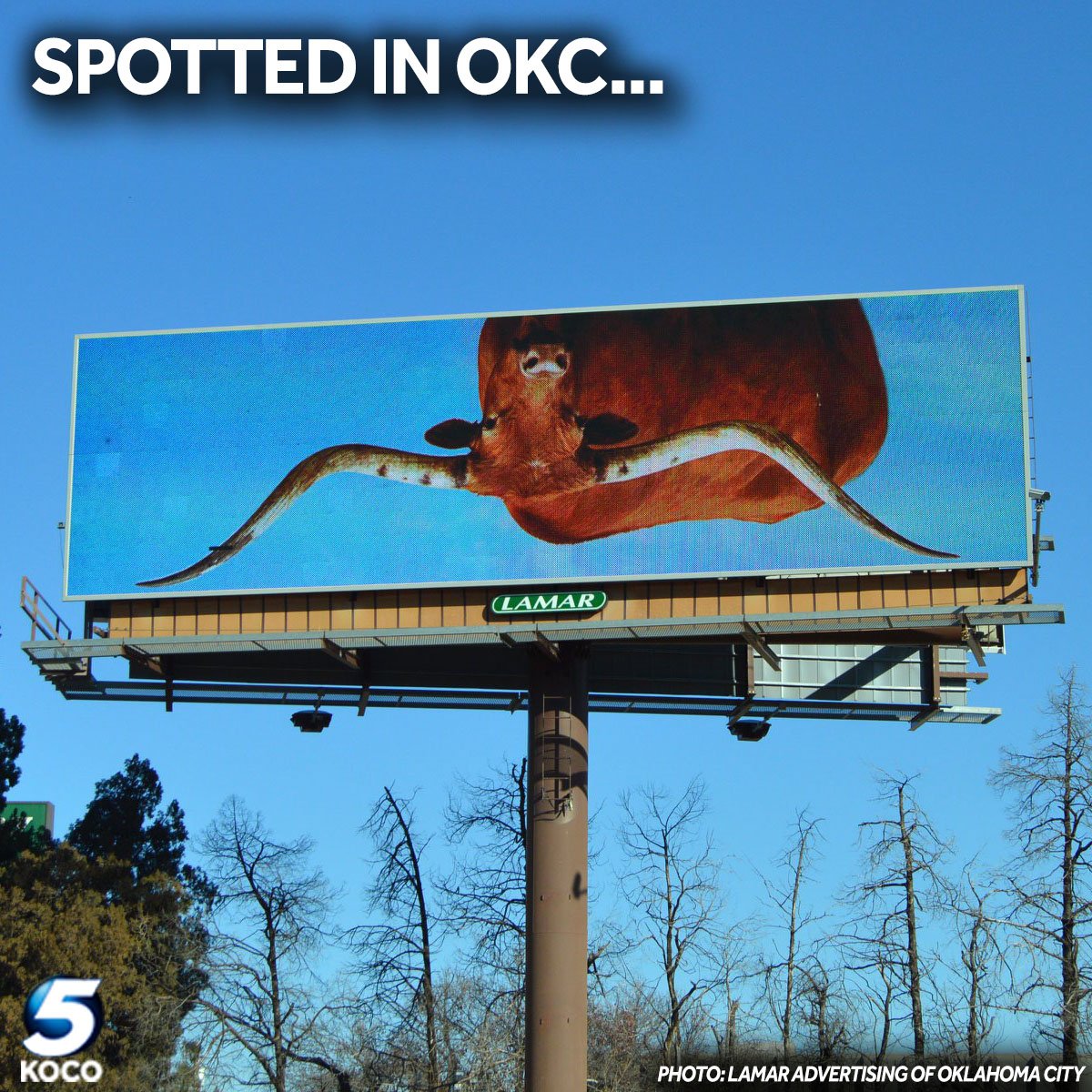 KOCOdamonlane's tweet photo. Oklahoma billboards > Texas billboards https://t.co/IsPd7OLL09