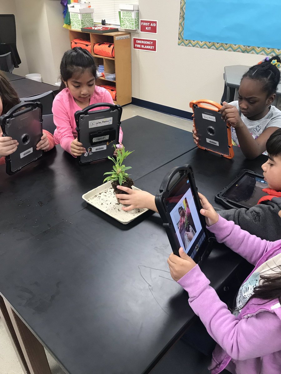 Paula Diaz tweet media