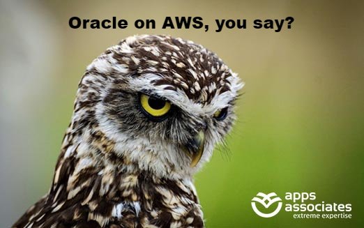AppsAssociates's tweet photo. #AWS #reInvent, this is the reaction we sometimes get from   customers when we tell them they can run #Oracle Apps on the #AWS #Cloud. Come see us at booth #1439 and we'll show you how to get it done. https://t.co/x7sjPTHzd2 https://t.co/twS0dUVw6a
