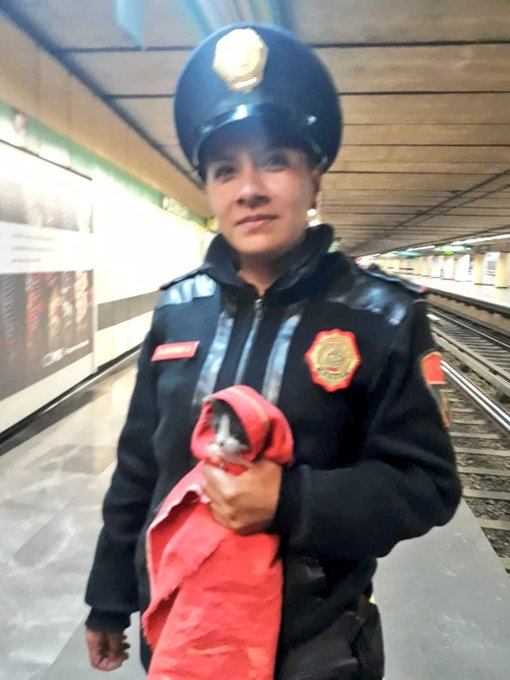 Ver imagen en Twitter