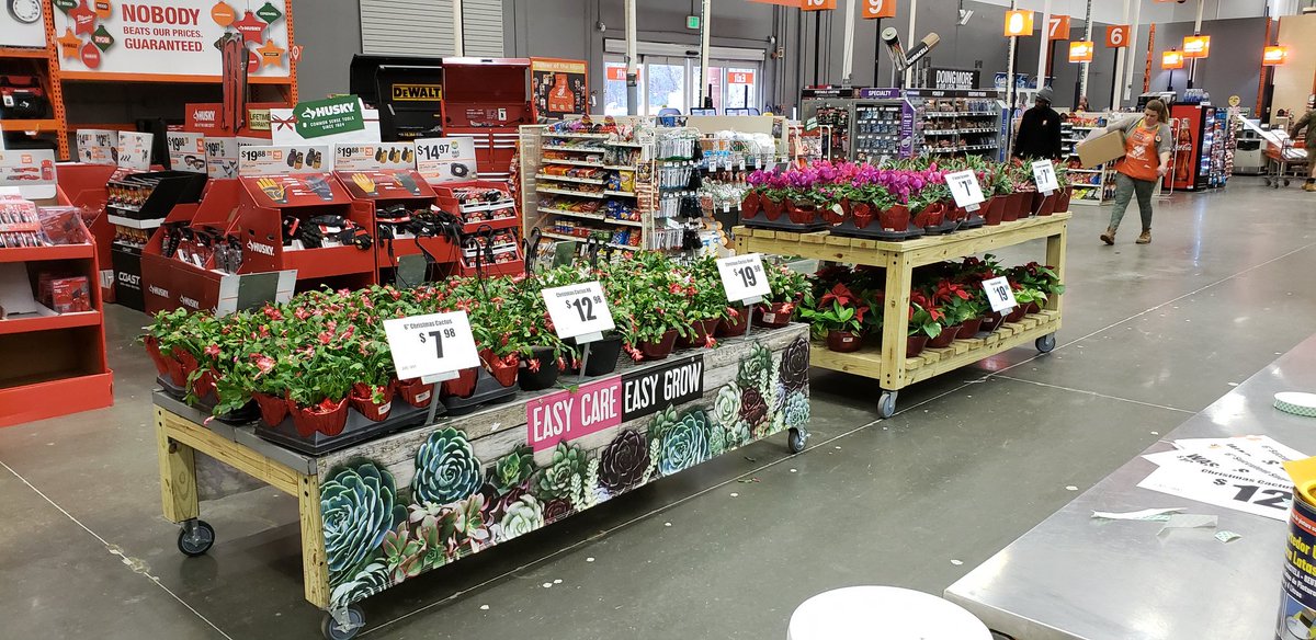pauld_PBF's tweet photo. Thank you Natalie Wilson store #153 for your Holiday Poinsettia, Sucullent, Christmas Cactus and Cyclamen display support... 
@PBFmedia @freddyplants @JohnTuten2 @anavarro52069 @Nlauzurica #Poinsettias #HolidaySucullents #ChristmasCactus #HolidayCyclamen https://t.co/dop2CsM9yL