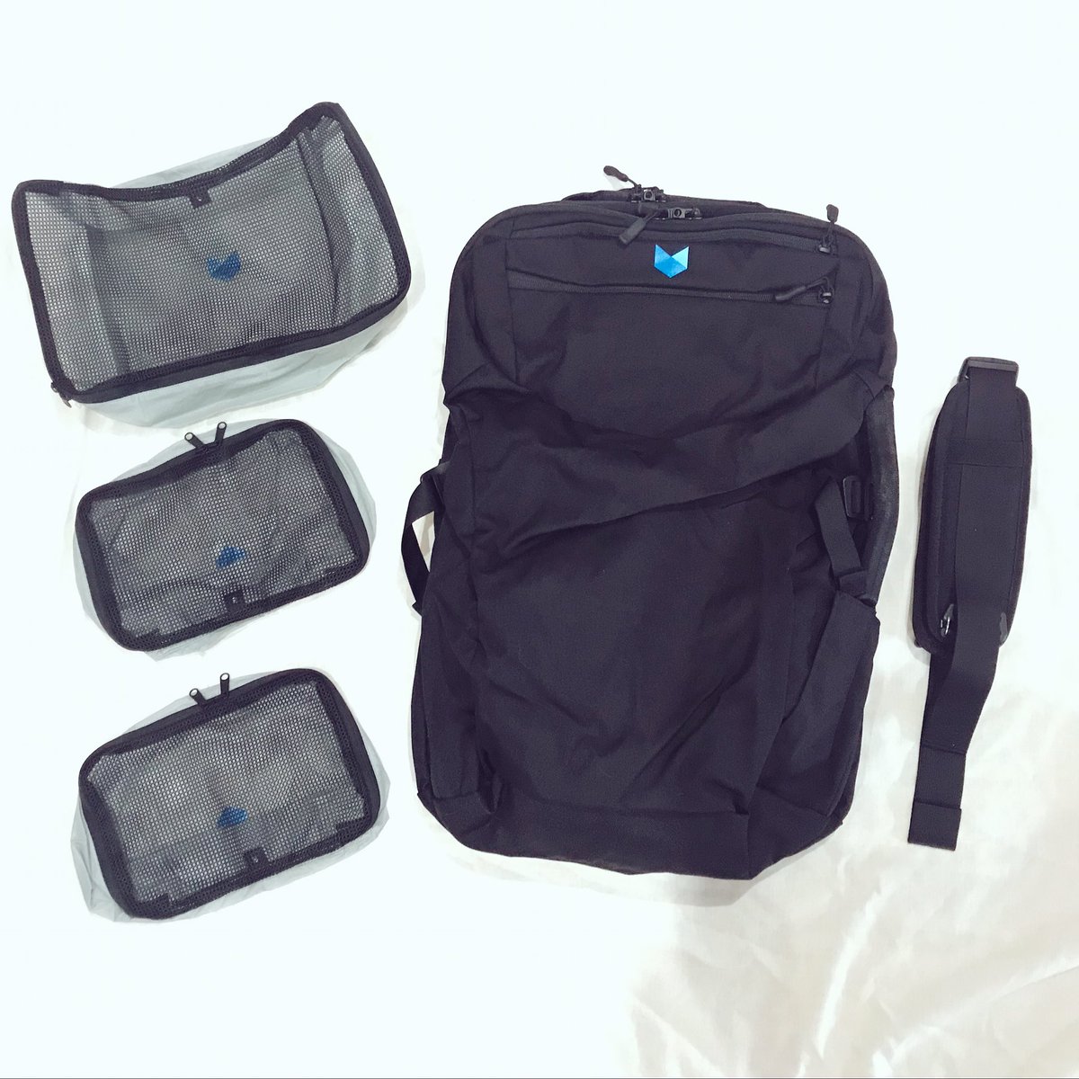 Tweet media one