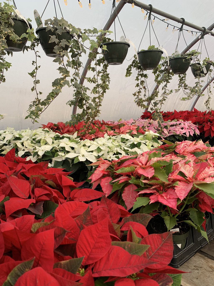 Allandale Farm tweet media