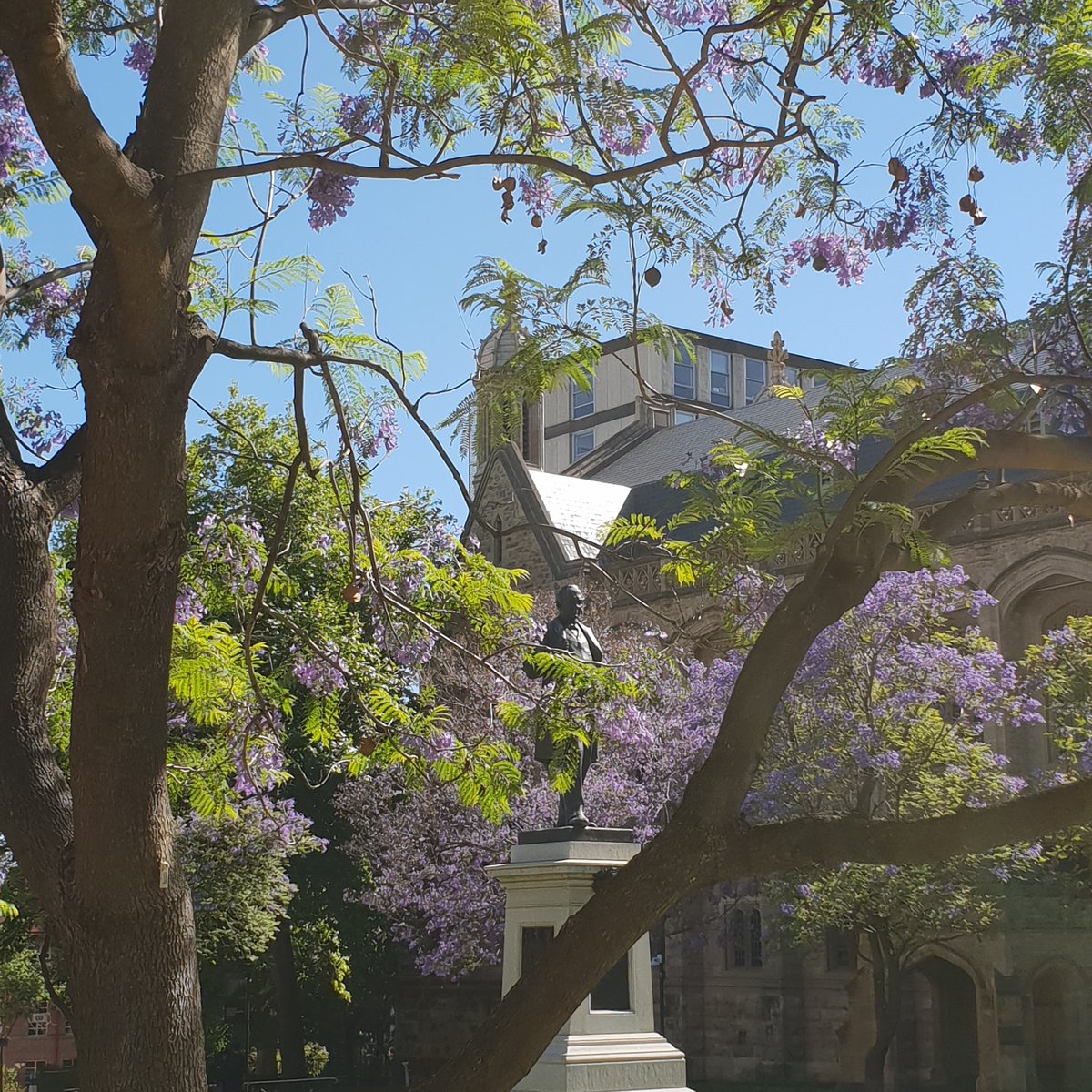 Dr Heather Bray tweet media