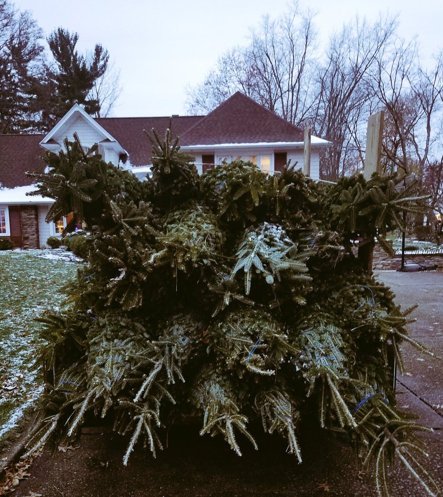 MrsSmithLHS's tweet photo. π²When your husband brings work home.π² Most wonderful time of the year! π² #familybusiness #ohiotrees #call4agoodpine π https://t.co/ULg9gG6d09