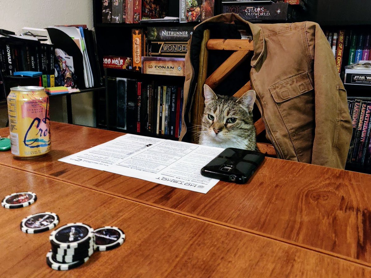 strasa's tweet image. The role of hotshot mech pilot (with a sweet bomber jacket) will tonight be played by a tiny tabby cat. You doubt her? Her side-eye game is strong.