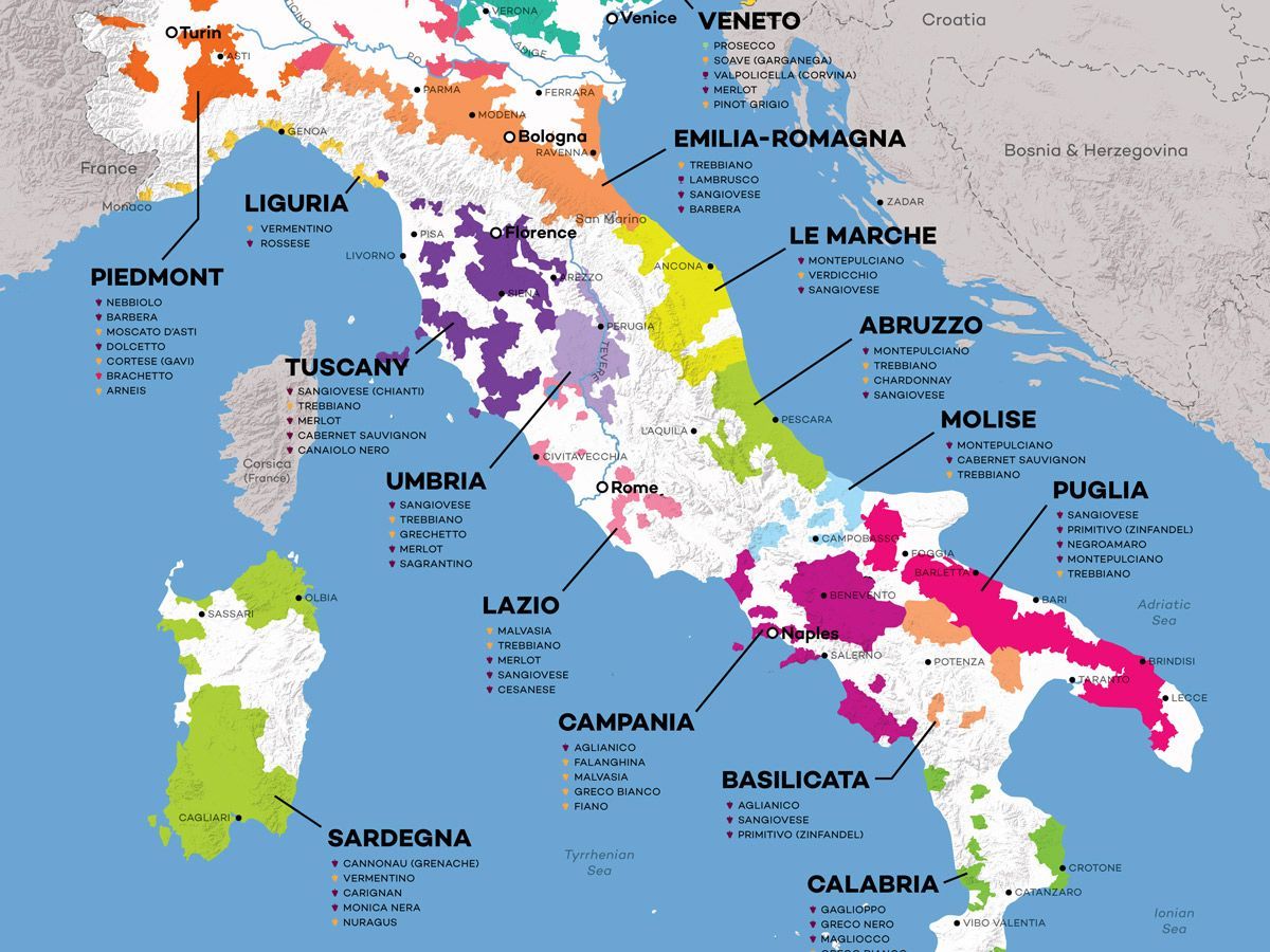 WineFolly's tweet photo. Are you looking to drink your way through Italy? Have we got a map that’s perfect for you! 🇮🇹  https://t.co/3Xj1n7jsIq https://t.co/EDQrzSzh32