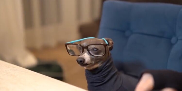 OliviaUgino's tweet photo. What I think I look like wearing a ponytail and glasses vs. what I actually look like. @Jenna_Marbles #cermit https://t.co/2FhXFjuAVK