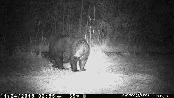 bucksabound's tweet photo. in the morning. #cackalack https://t.co/aTsqgNVQMv