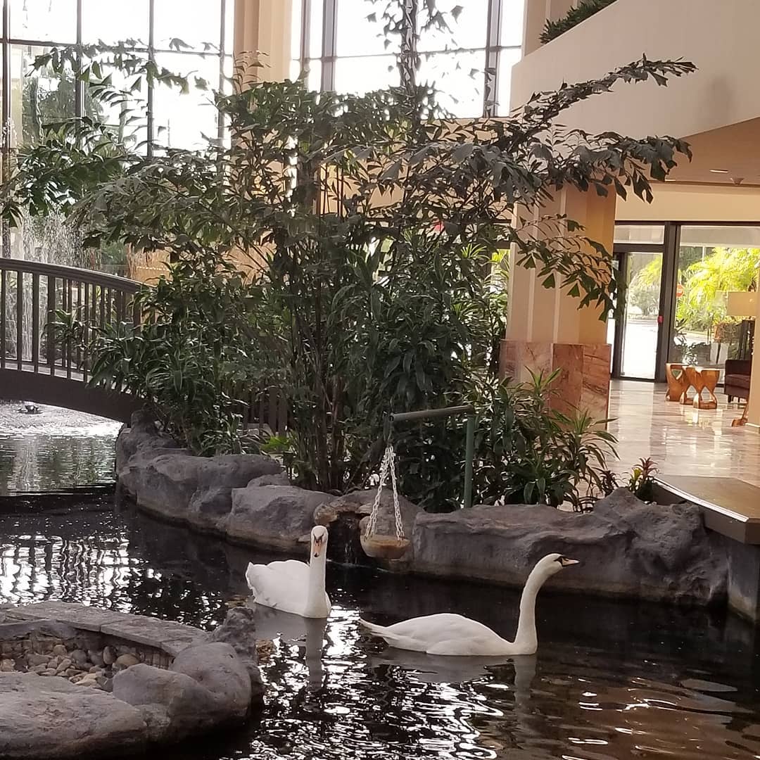 Savor the quiet moments.

📷 iblilgina