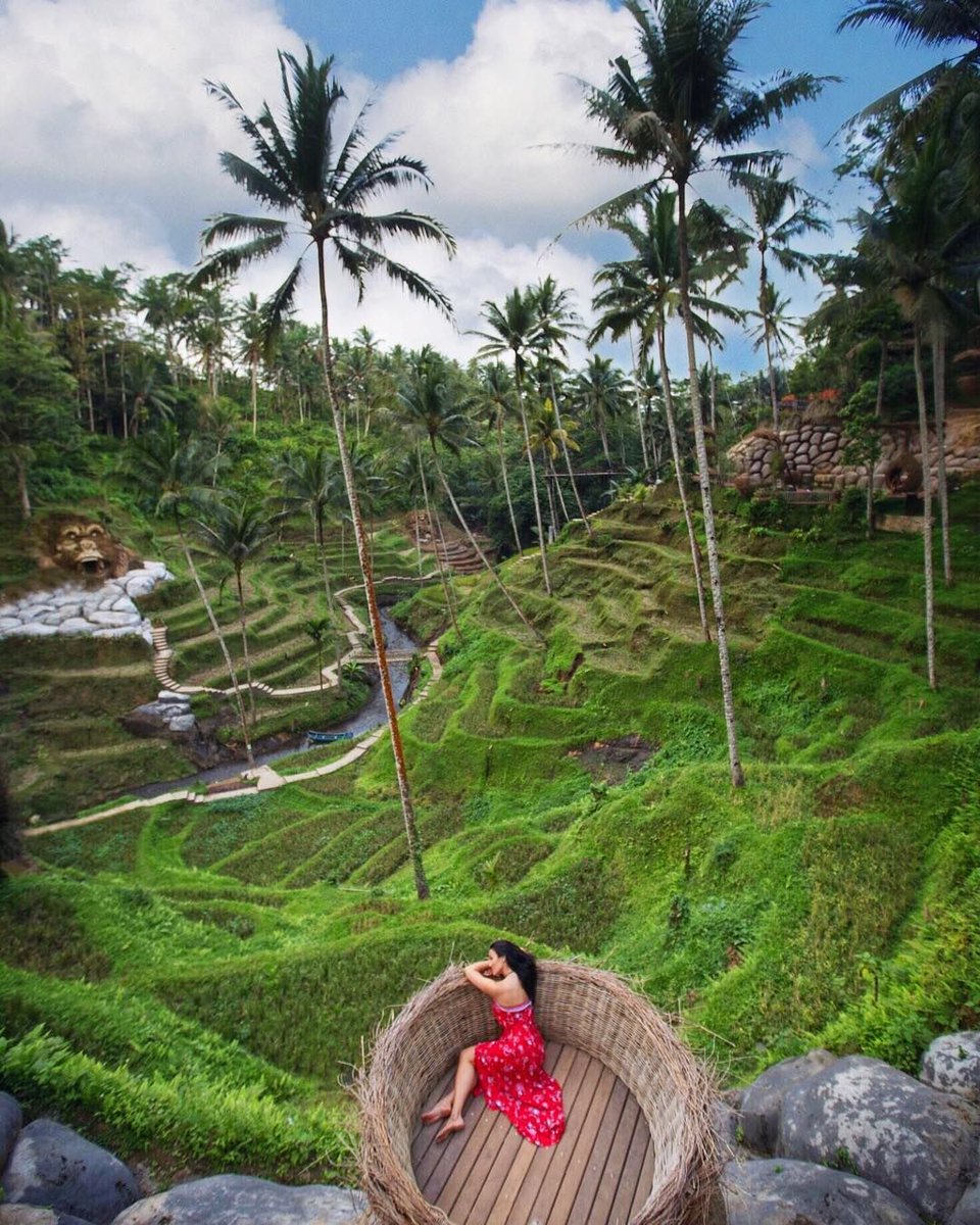 hotelsdibali's tweet photo. One beautiful day in tropical place in Ubud, 😄 ❤️
📸 @MissCindrich
#hotelsdibali #hotel #hotels #hotelier #hoteliers #travelling #travelers #seminyak #kuta #ubud #jimbaran #singaraja #bali #brightbalimedia #travelphotography #travelblogger #tropical #ricefiled #riceterrace https://t.co/vAWlNvjkEa