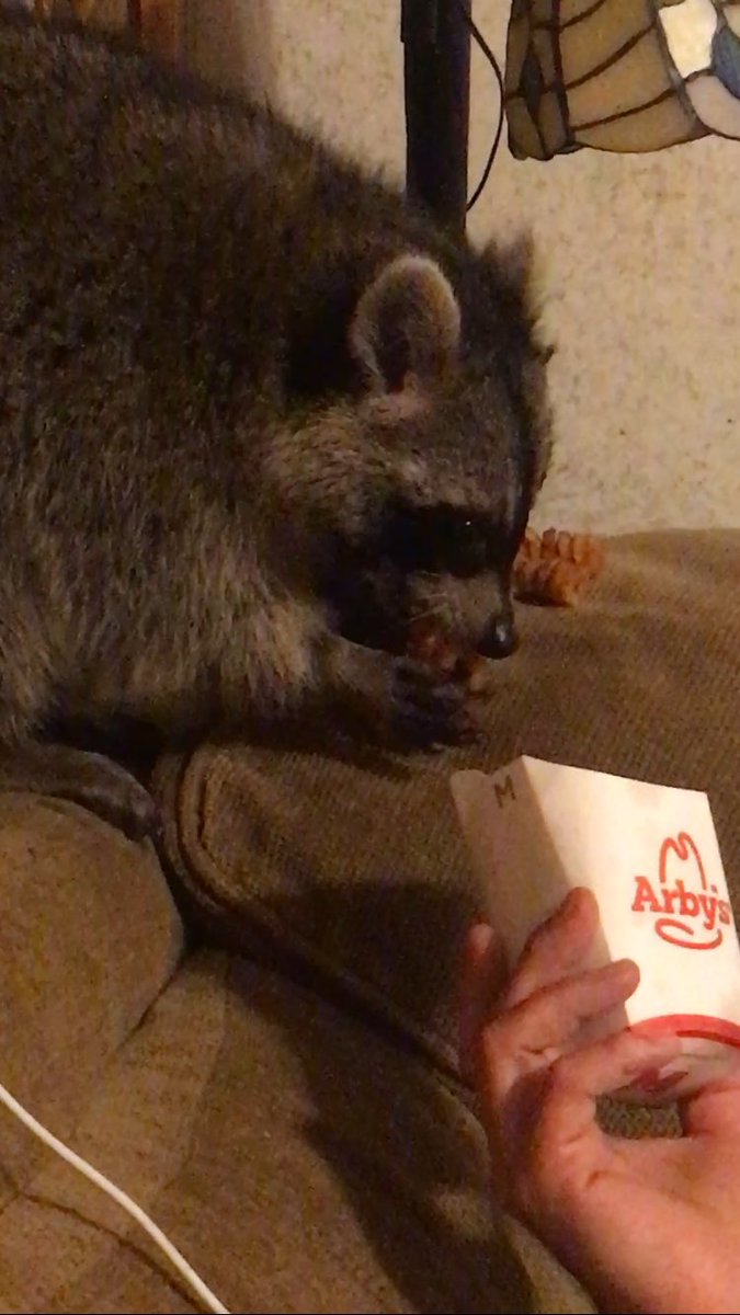JenGalownia's tweet photo. @Arbys Can I get a charity coupon or something to replace my stolen curly fries? Grizz has Arby's radar! 😝 https://t.co/86plMAjQMX