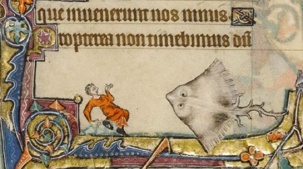 i_annotate's tweet image. Are you annotating something interesting? Submit a proposal to present at #ianno19, the 7th annual conference dedicated to #annotation technologies and practices 22–23 May 2019 at @theAGU&apos;s newly refurbished &quot;net zero&quot; HQ in Washington DC: iannotate.org