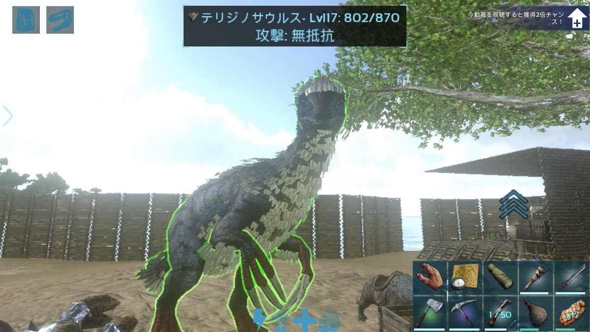 金バエ 禁酒1日目 テリジノサウルス捕獲完了 石の壁の中に誘い込んで 麻酔矢で眠らせて捕獲した 昏睡値の減りが早くて すぐ目覚めそうになるから 麻酔薬を300個も消費した テイムには30分くらいかかった ずっと側で監視するの疲れたは しかもオスだから