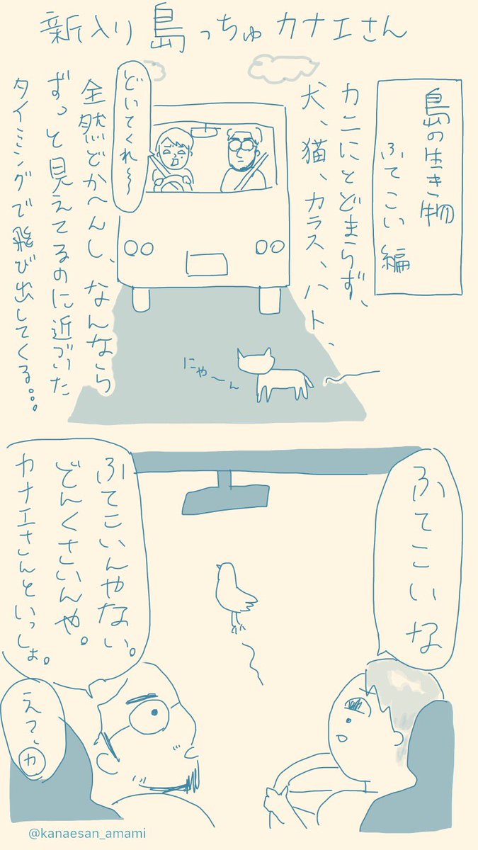 カナエさん 新入り島っちゅカナエさん 009 島の生き物 ふてこい編 ふてこい は関西弁でふてぶてしいの意 奄美大島 移住 コミックエッセイ イラストエッセイ 暮らし 島暮らし 生活 日常 南の島 瀬戸内町 のんびり ふてこい 新入りしまっ カナエさん 新入り島っちゅカナエさん 009 島の生き物 ふてこい編 ふてこい は関西弁でふてぶてしいの意 奄美大島 移住 コミックエッセイ イラストエッセイ 暮らし 島暮らし 生活 日常 南の島 瀬戸内町 のんびり ふてこい 新入りしまっ