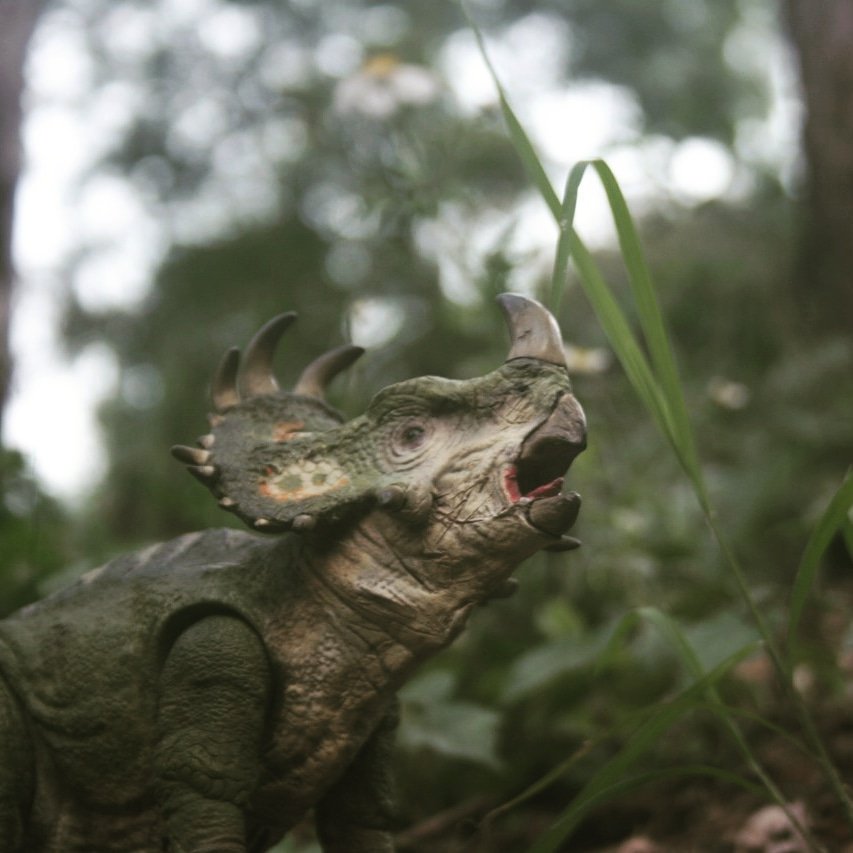 Prehistoric Expressions Prehistoric Art Twitter