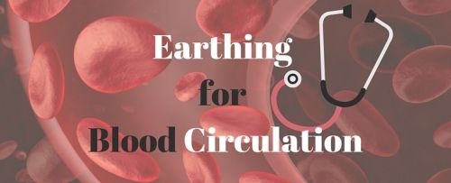 betterearthing's tweet photo. This medical study looks at how earthing improves blood flow. Show it to your doctor. https://t.co/CAS2DgM3hD #bloodcirculation #earthing #grounding #HealthyLiving #betterearthing https://t.co/Y4NsCqpync